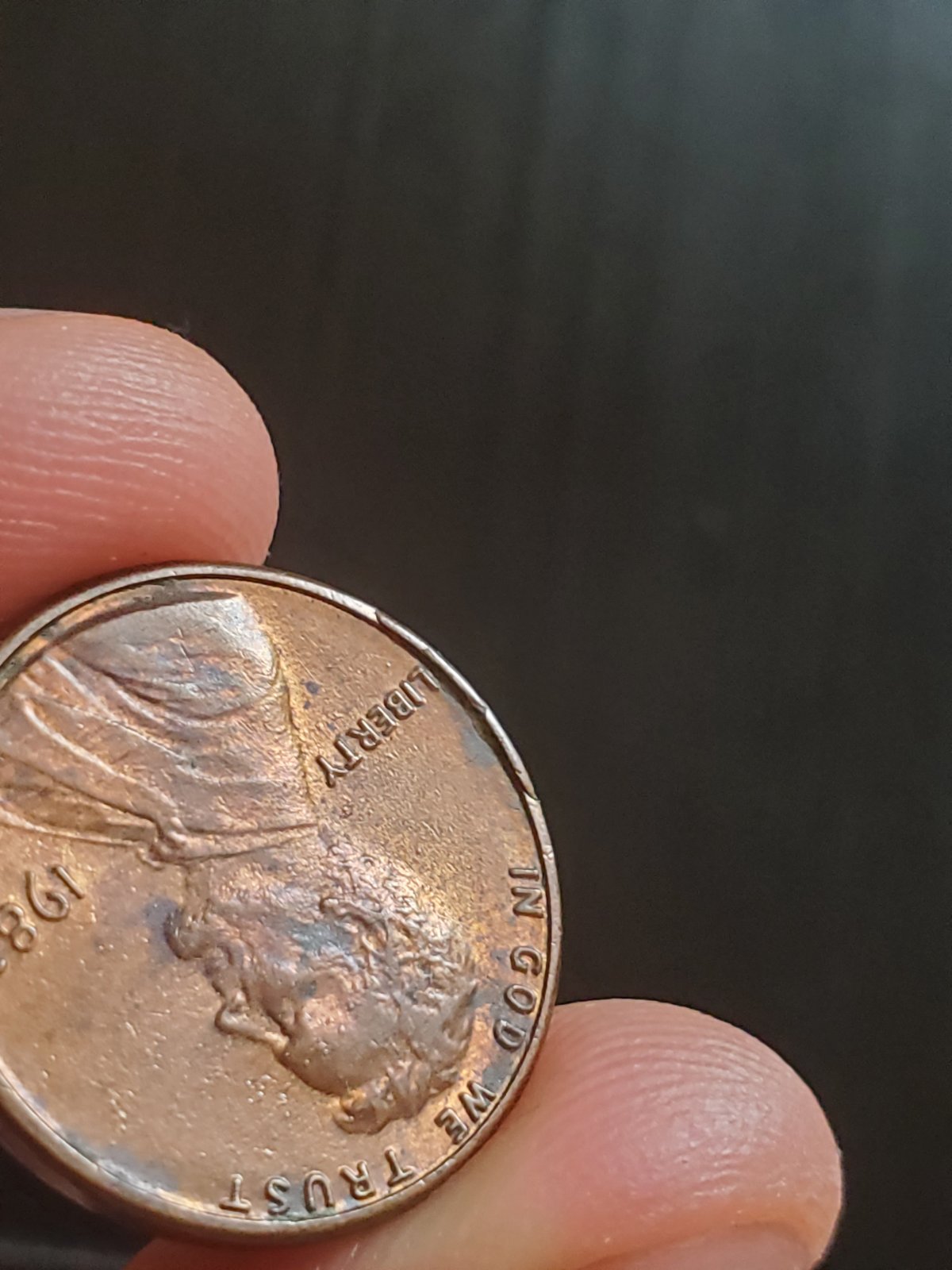 1982-LMC-Rim-Cud-Large-Date-Zincoln