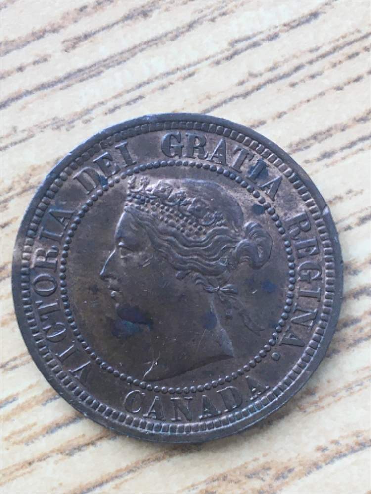 1882-Large-Cent-For-Grading