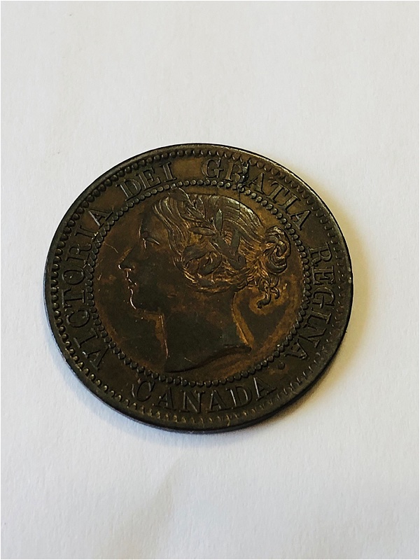 Please-Grade-This-1859-Large-Cent