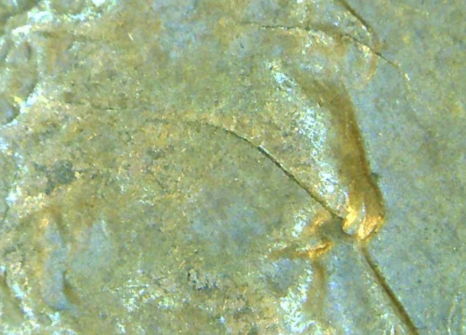 1957-LWC-Double-Skull-Crack