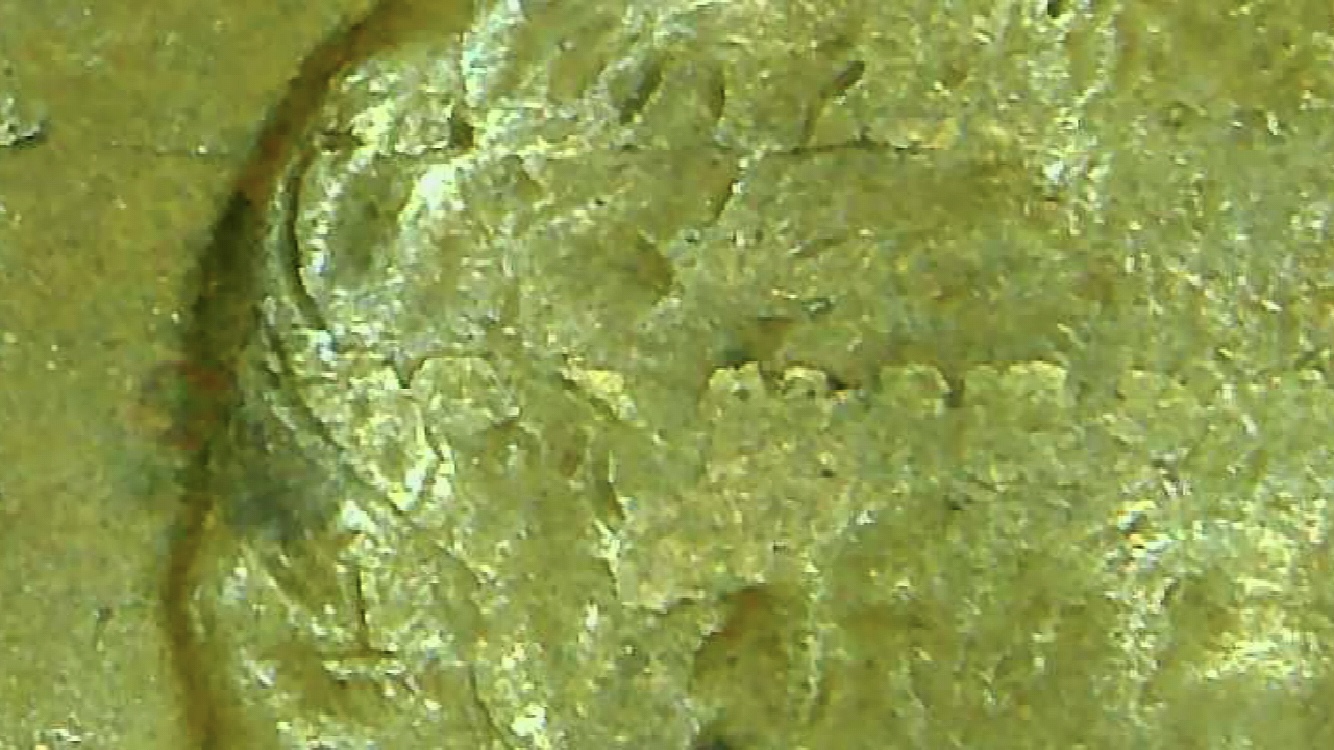 1941-Lincoln-Wheat-Cent--Die-Clash?-At-First-Glance-Looked-Like-Lam?-Runs-From-End-To-End-Of-Coin?