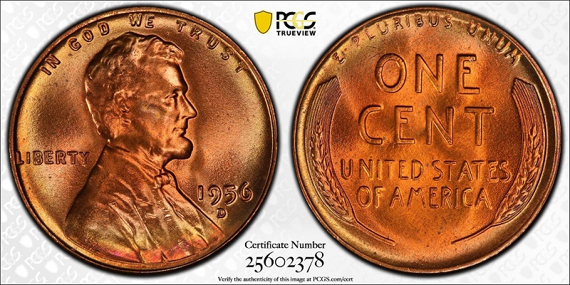 Help-Me-Understand-How-This-1956-D-Wheat-Cent-Graded-An-MS-67+