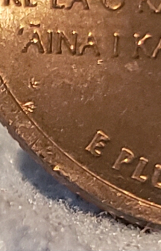 Are-These-Die-Chips-2008-P-Hawaii-Uncirculated?