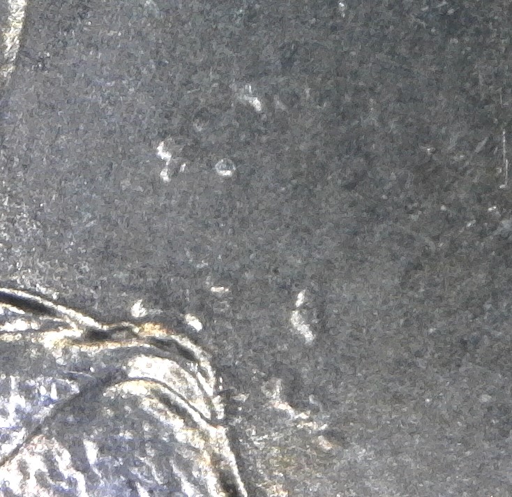 Are-These-Die-Chips-2008-P-Hawaii-Uncirculated?