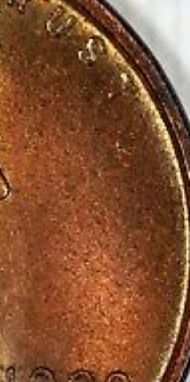 1909-VDB-Penny-Proof-Or-Not