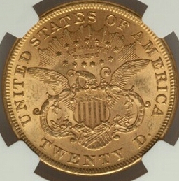 Another-1873-$20-For-Grading