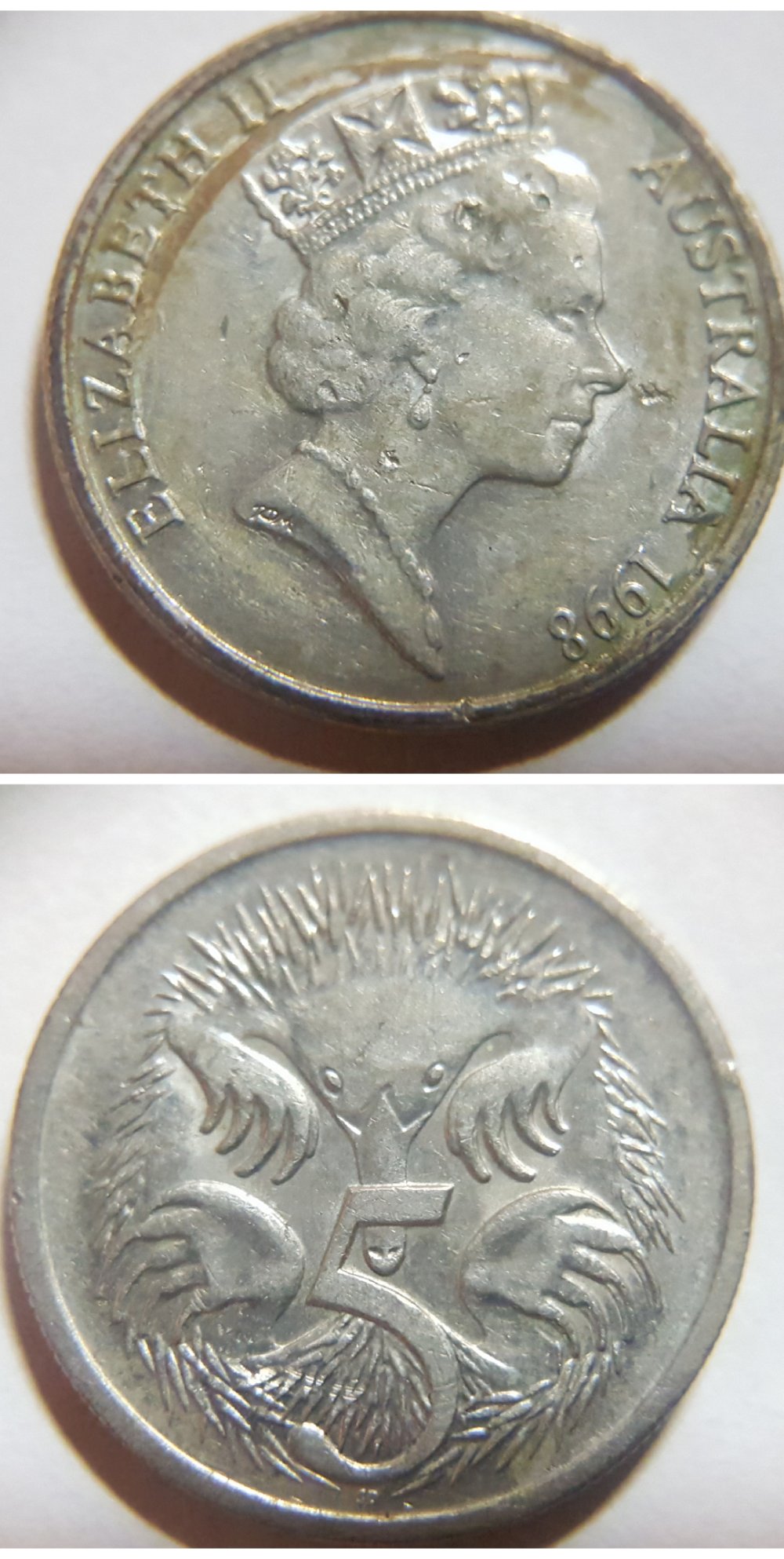 Post-Your-Australian-Circulation-Finds