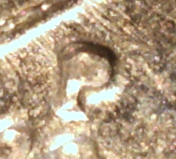 Is-This-A-Mint-Mark-Error?-Or-Just-Sloppy?