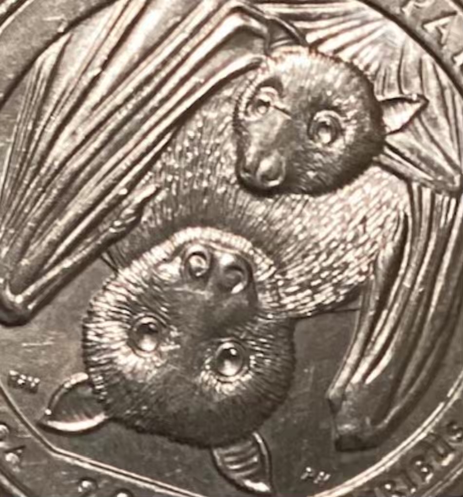 2020-American-Samoa-Quarter---Is-This-An-Error-,-I'm-New-And-Not-Sure