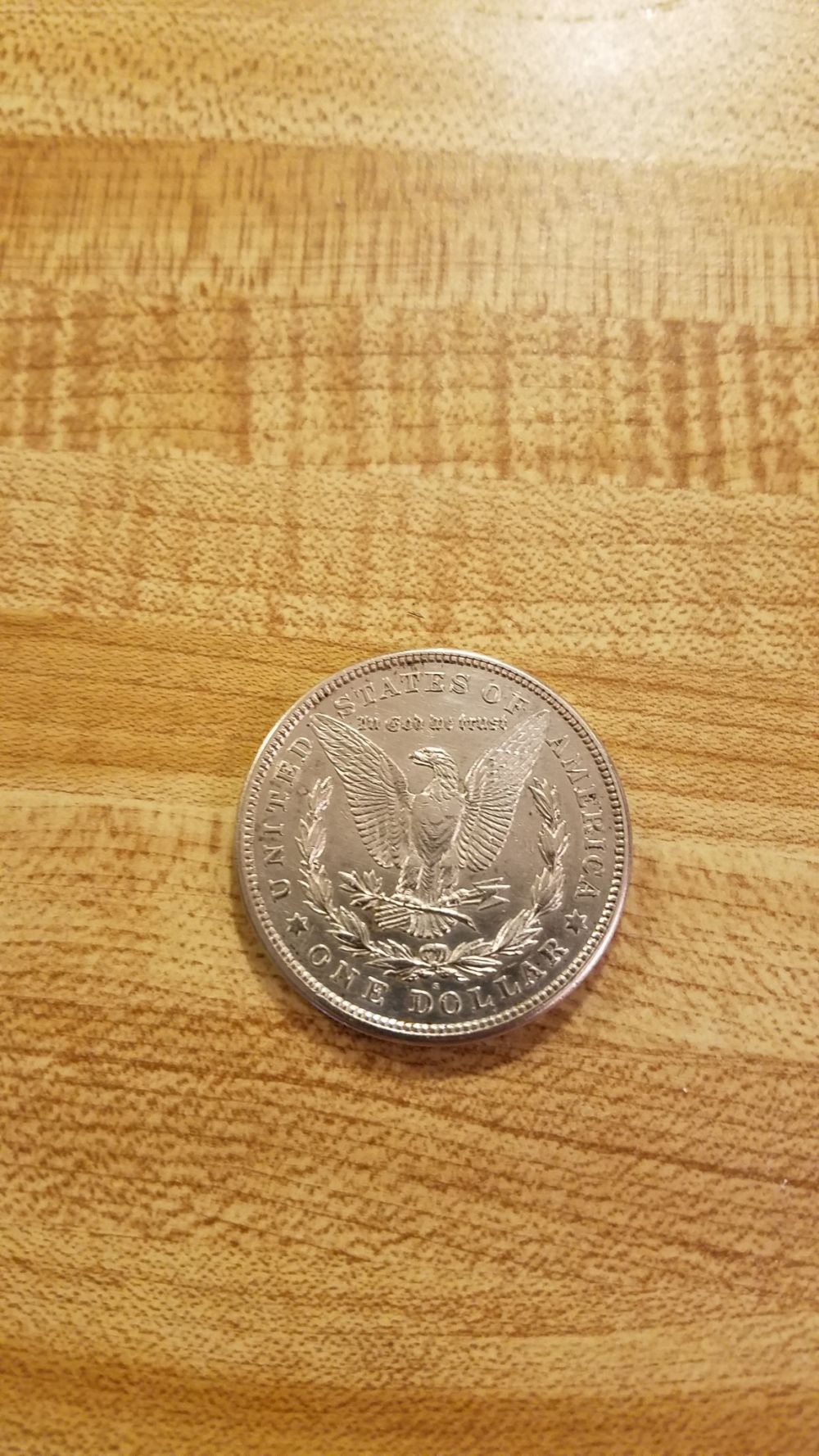 1921-Silver-Dollar-Find