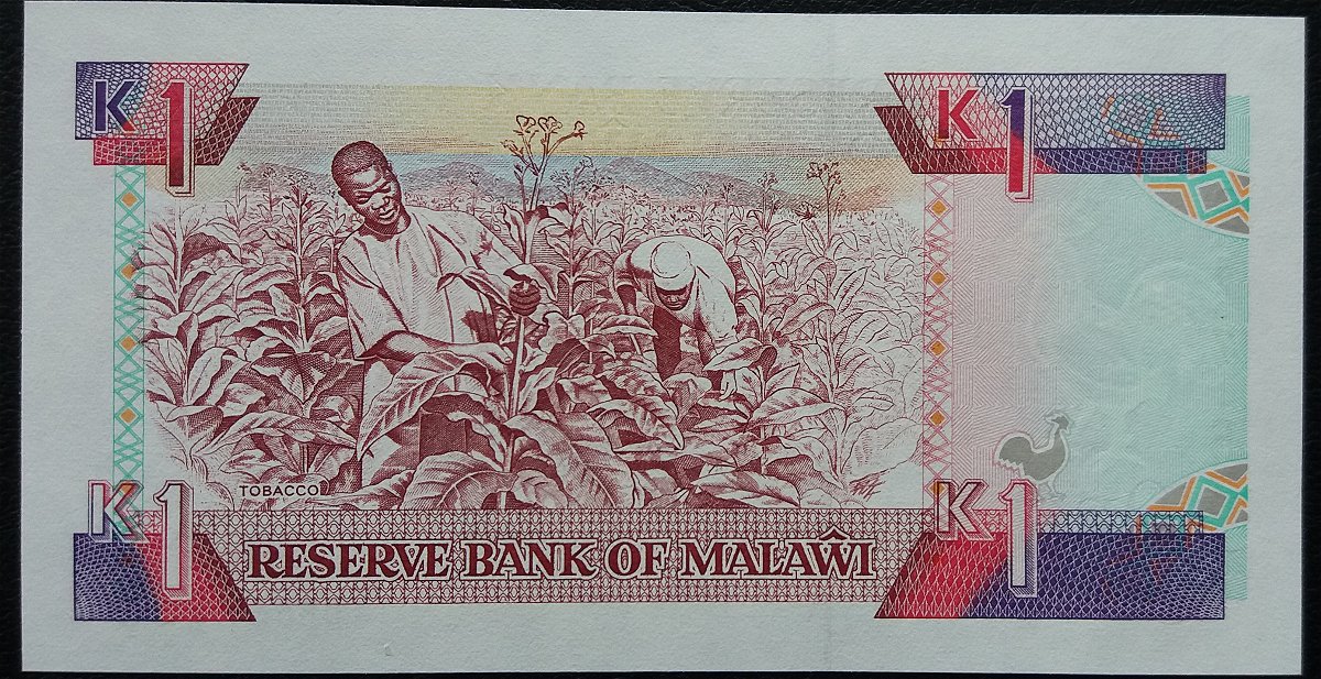 How-Far-Back-Can-We-Go?---With-Banknotes!-Second-Edition!