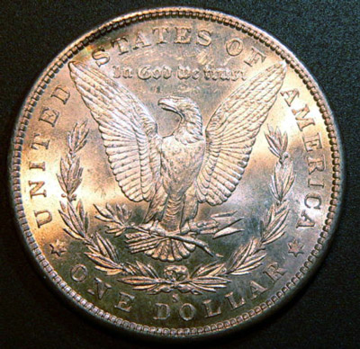 Another-81-S-With-Unusual-Toning
