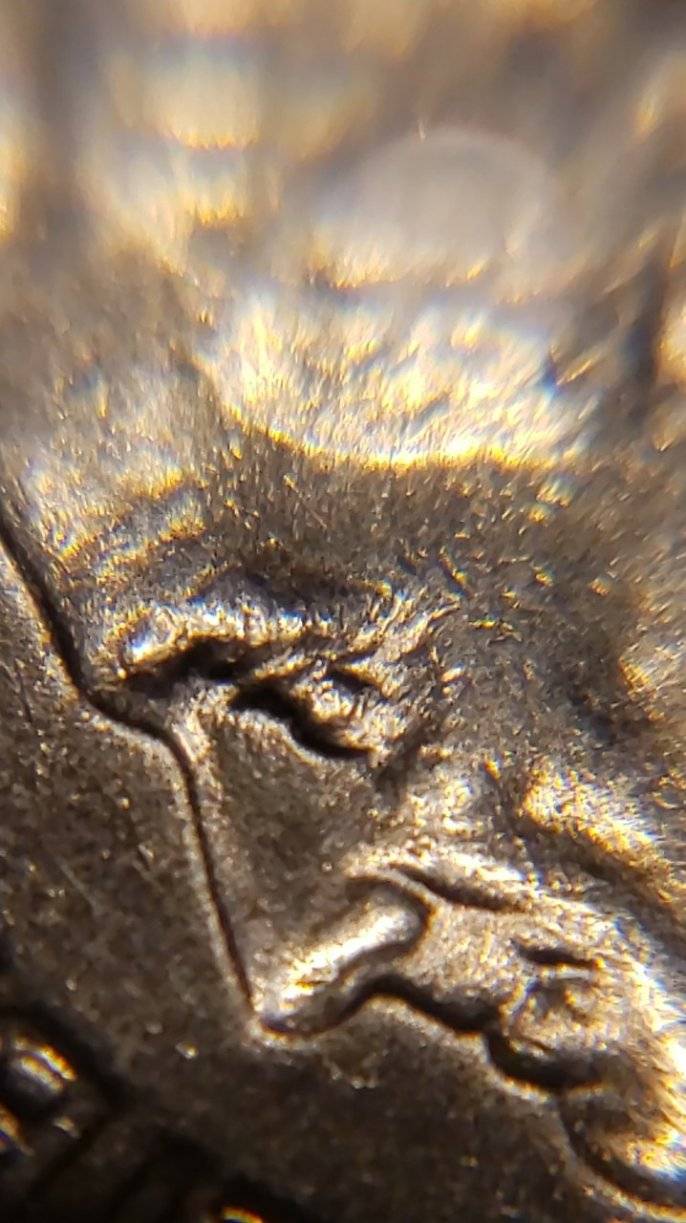 1981-P-Dime-Error?-Looks-Like-Extra-Leaf-Vein-Or-Stem-Ontop-Of-Leaf