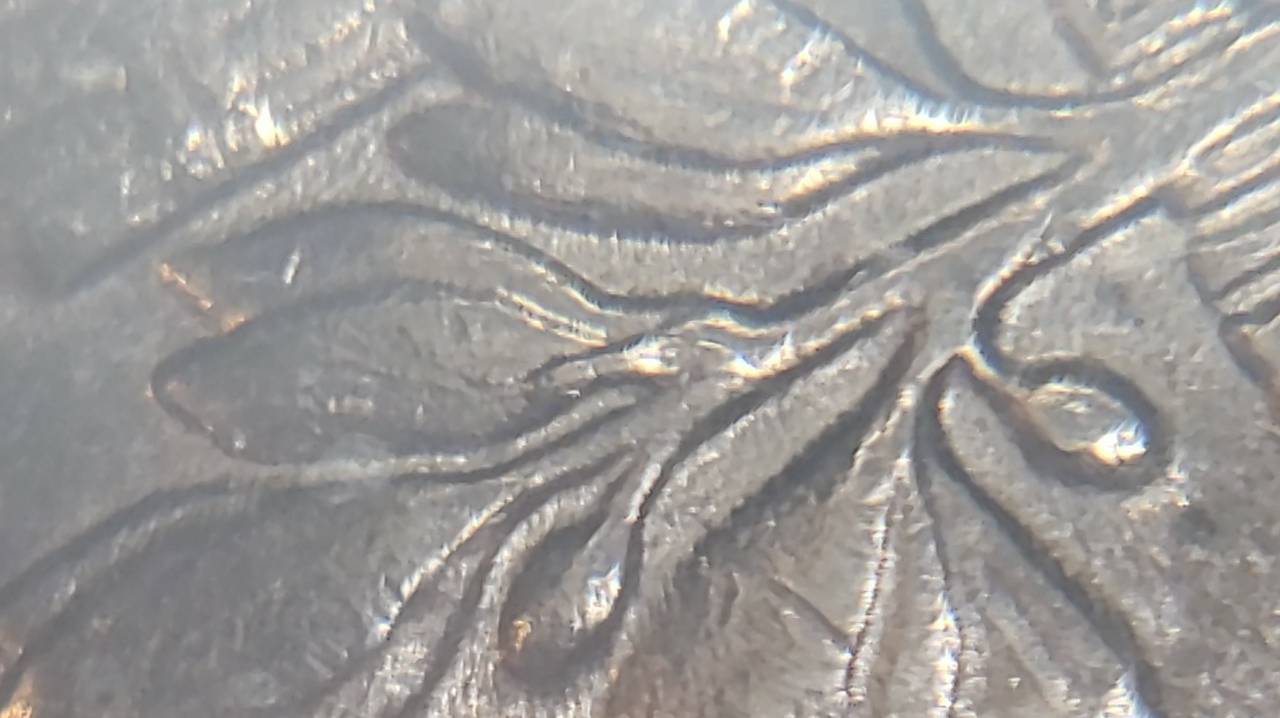 1981-P-Dime-Error?-Looks-Like-Extra-Leaf-Vein-Or-Stem-Ontop-Of-Leaf