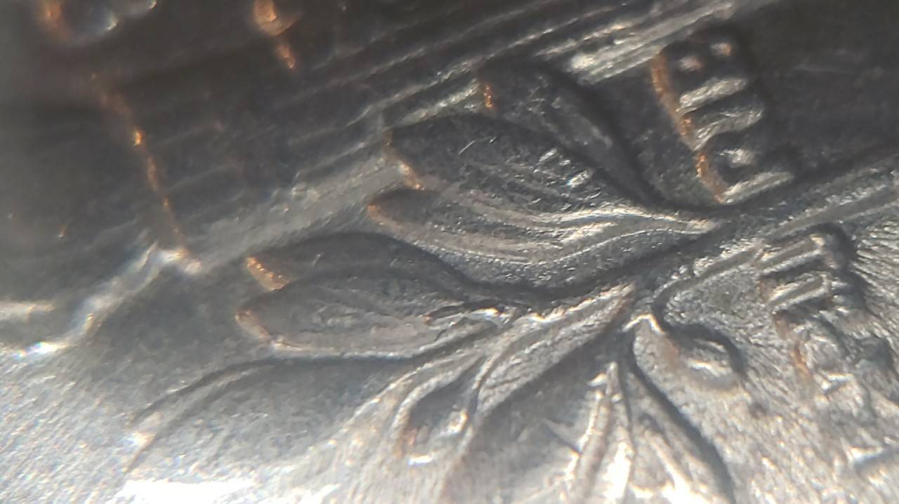 1981-P-Dime-Error?-Looks-Like-Extra-Leaf-Vein-Or-Stem-Ontop-Of-Leaf