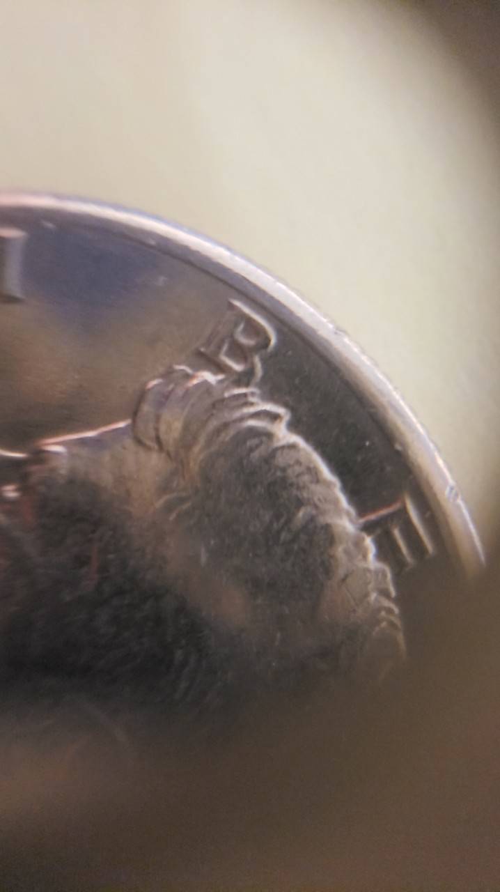 1971-D-DDO-Or-DDR?-Half-Dollar