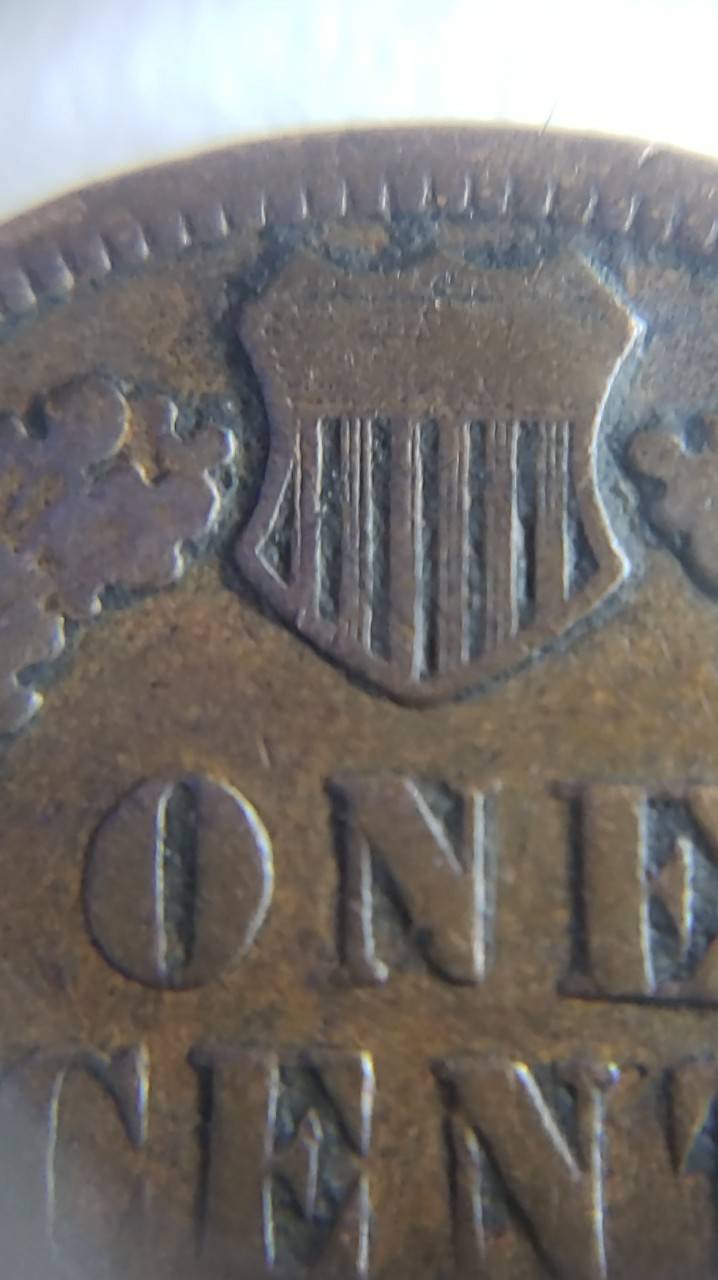 1901-Indian-Head-Wooohooo-Found-It-In-Last-Roll