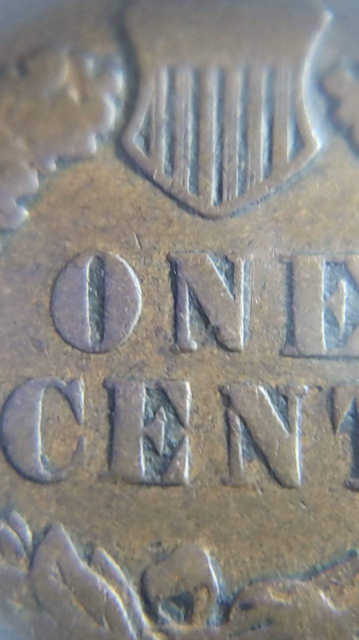 1901-Indian-Head-Wooohooo-Found-It-In-Last-Roll