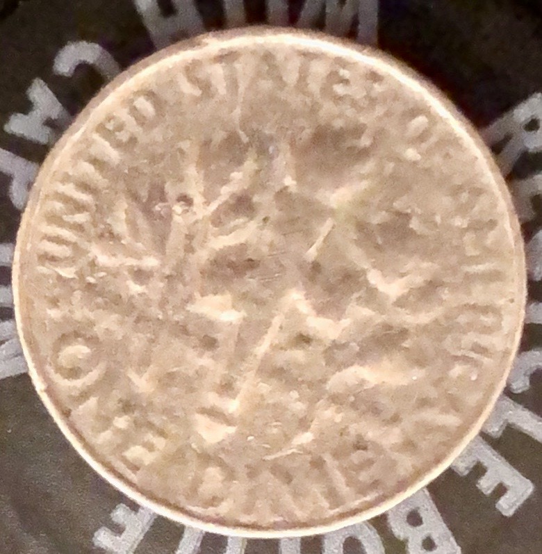 I'm-A-New-Member-Here---Dime-With-No-Date-On-It