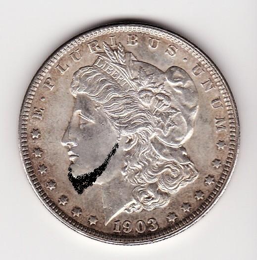 Sharpie-Marker-On-Morgan-Dollars--What-To-Do?