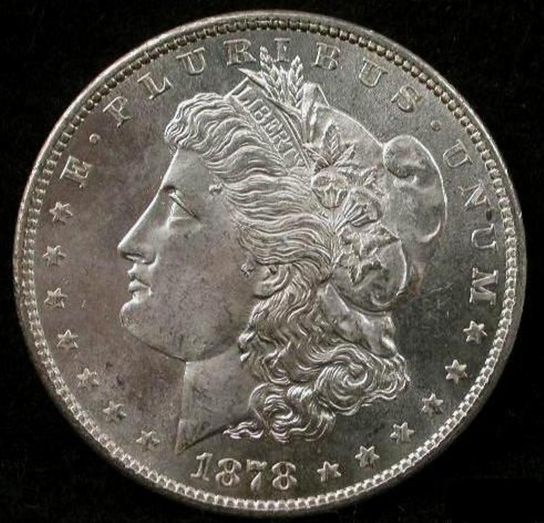 1878-S-Morgan-...-Grade-And-VAM???