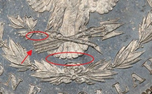 7/8-Tail-Feathers-Morgan-Dollars