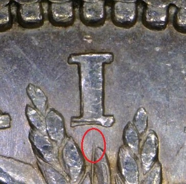 1878-S-VAM-111?-Or-A-New-Variety