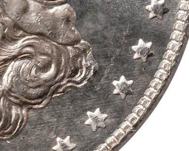 1878-S-VAM-111?-Or-A-New-Variety