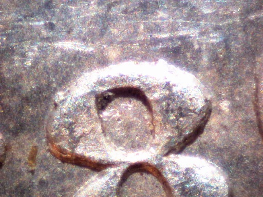 1880-P-VAM-8