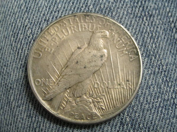 New-Peace,-Bust-Half,-And-Seated-Half-Additions!-&-Question