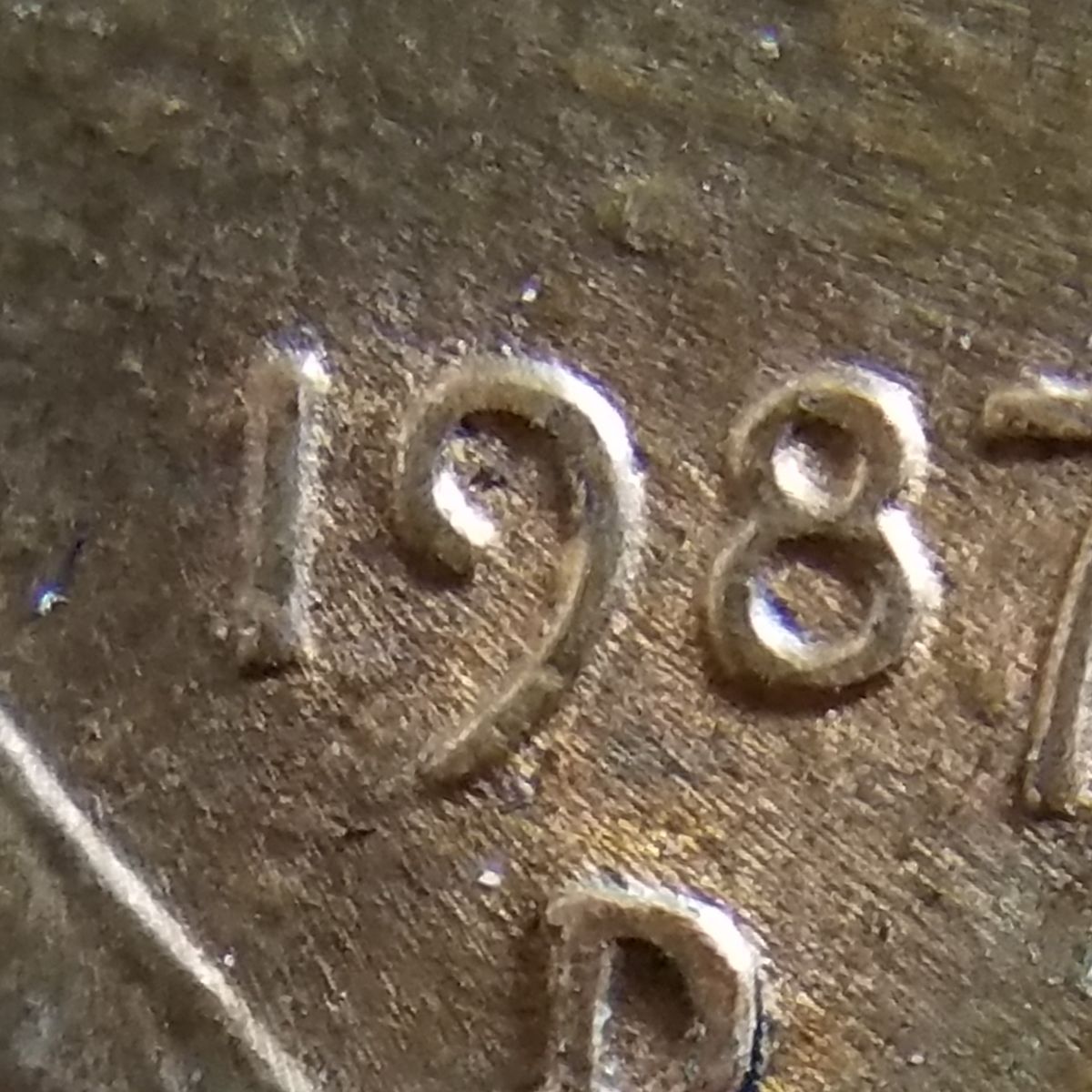 Wondering-If-This-Is-A-1987-D-1˘-WRPM-014