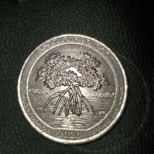 2020-P-Double-Die-Quarter