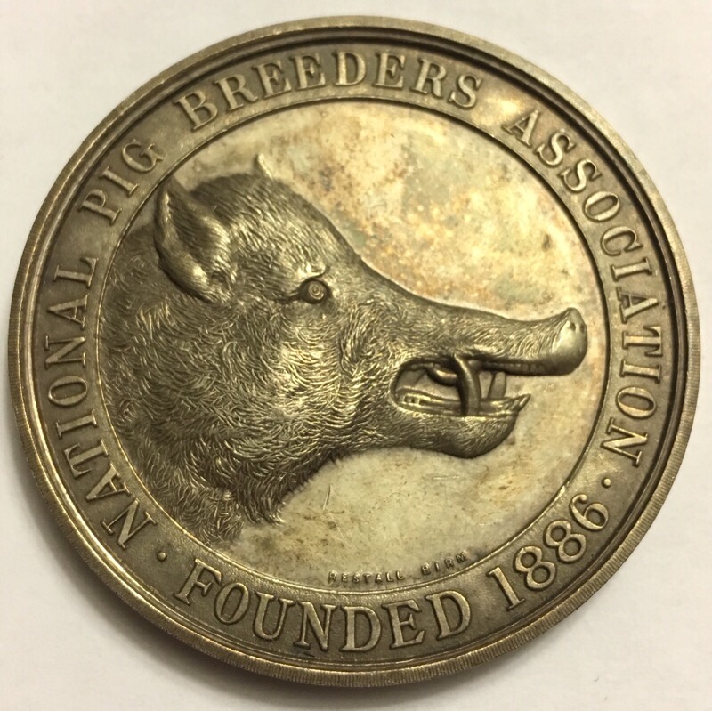 Any-Information-Regarding-A-National-Pig-Breeders-Association-1886