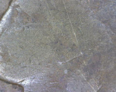 1892-Indian-Head-W/-Raised-Lines-On-The-Face