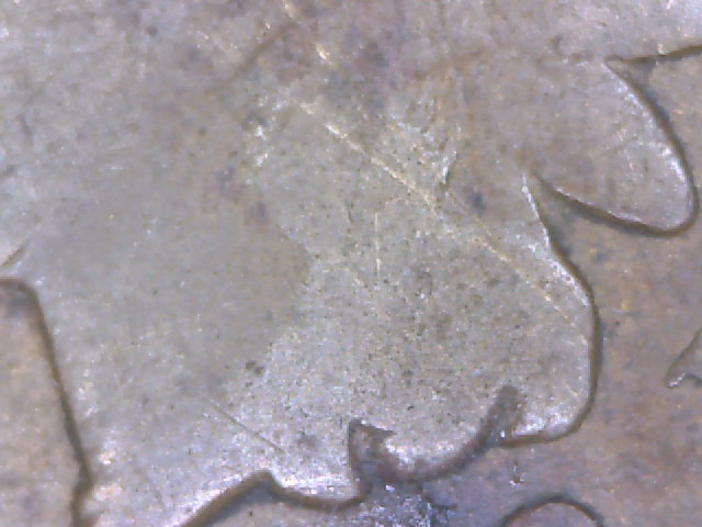 1892-Indian-Head-W/-Raised-Lines-On-The-Face