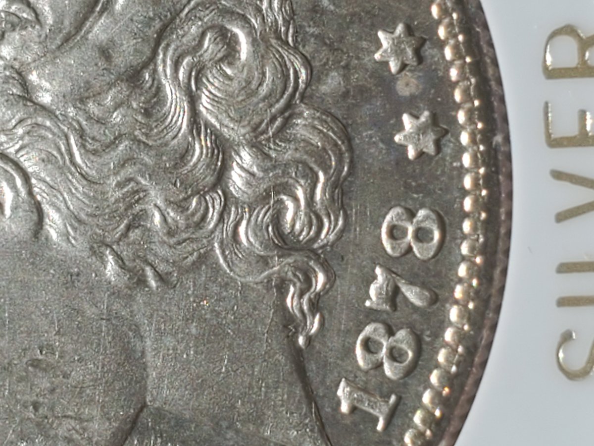 1878-S-Morgan-Dollar-VAM?