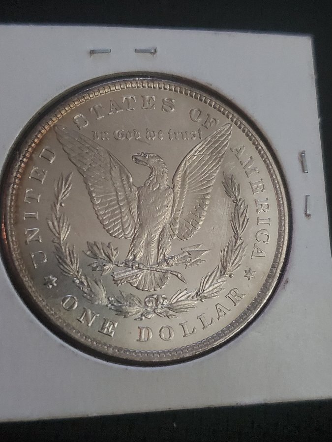 1878-8-Tail-Feather-For-Grading