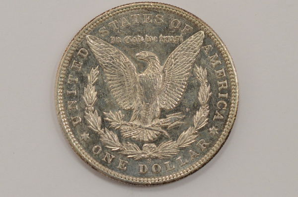 What-Grade-Is-This-95-S-Morgan?