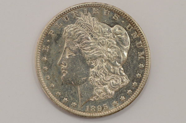 What-Grade-Is-This-95-S-Morgan?