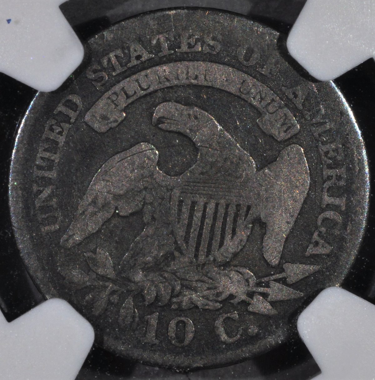 1825-Bust-Dime-You-Vs-NGC