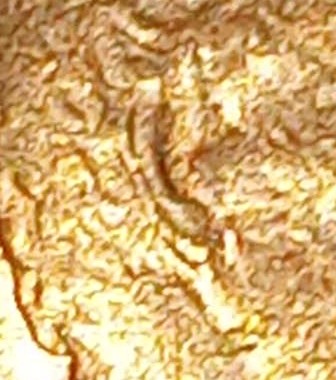 1988-Double-Ear-Lincoln-Memorial-Cent