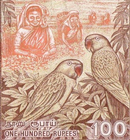 How-Far-Back-Can-We-Go?---With-Banknotes!-Looking-For--1894-