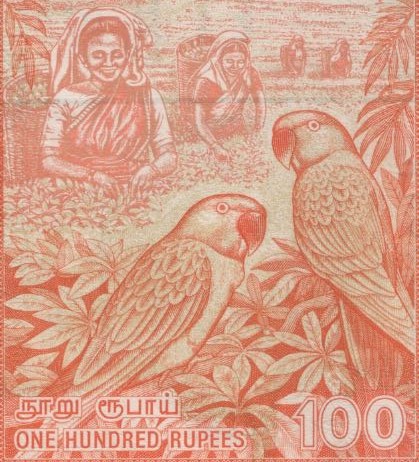 How-Far-Back-Can-We-Go?---With-Banknotes!-Looking-For--1894-