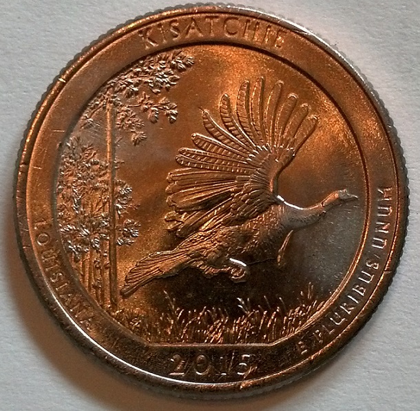 I-Need-Help-With-Coin-Photos.