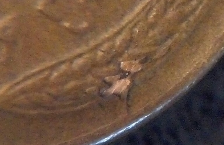 1955-S-LWC-Filled-5-S-Die-Chip