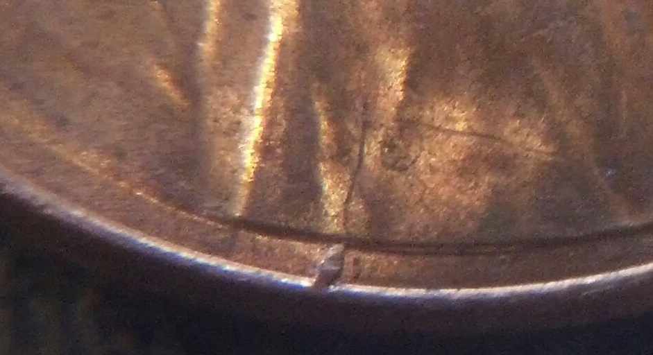 2013-Shield-Cent---Is-This-A-Cud?