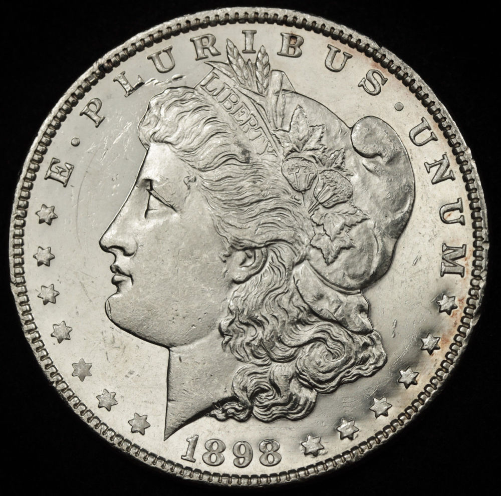Suspicious-Looking-Morgan-Dollar?