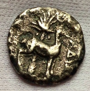 Is-This-Coin-Real