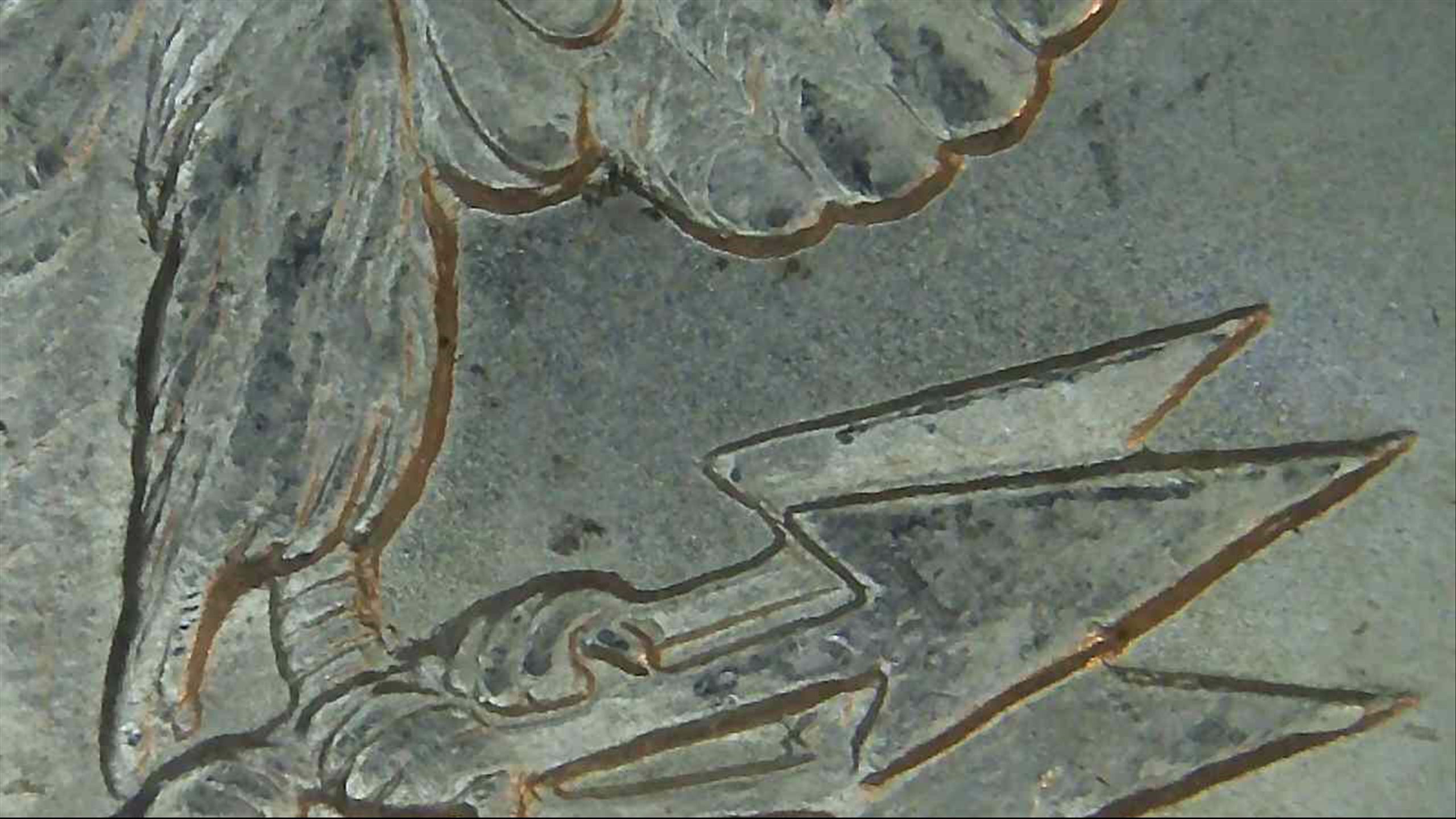 1881-S-Attribution-Help-Requested