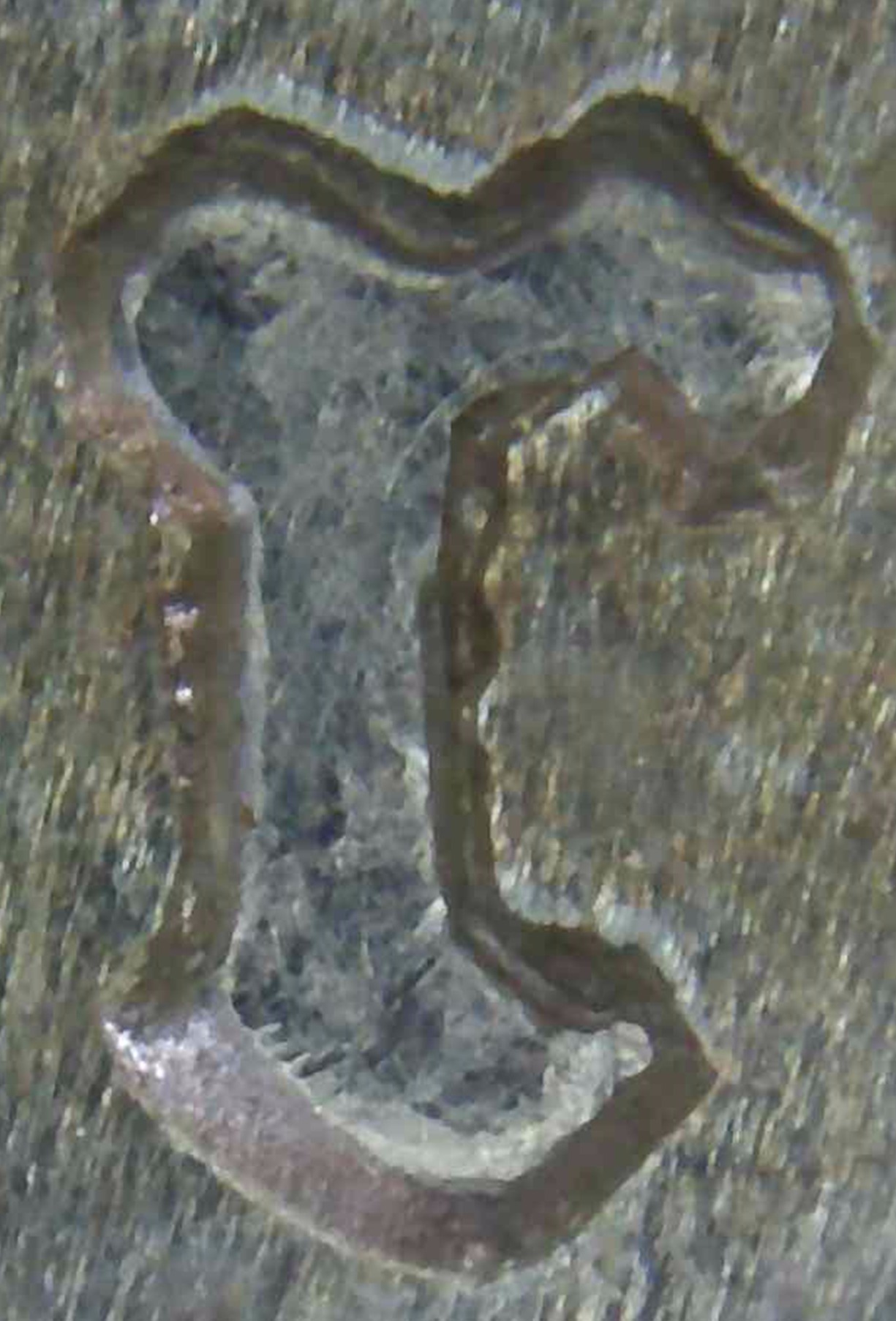 1881-S-Trust---Die-Doubling/Tripling-Or-What?
